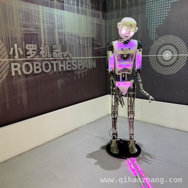 杭州兴起“机器人热”，机器人小镇发展现状揭秘，杭州机器人小镇：工业机器人的集聚地，人形机器人的待拓处
