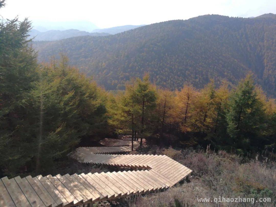 走进山西七里峪：领略森林康养的独特魅力 山西七里峪林场：开启森林康养特色发展新篇