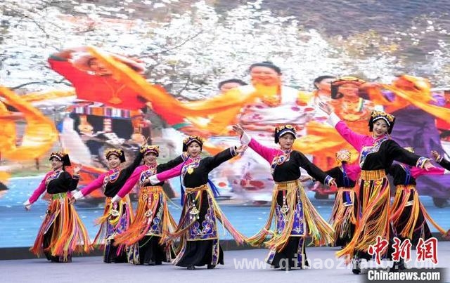 金川梨花季推介会：展示旅游魅力，激发消费潜力 3月17日，金川梨花季推介会点亮文旅新画卷