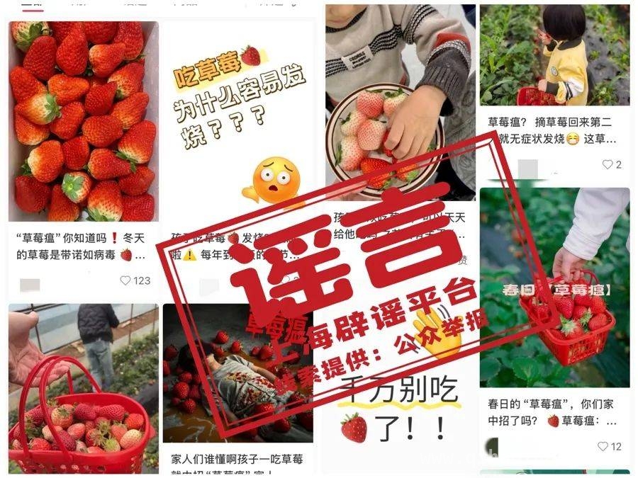 草莓大量上市，“草莓瘟”谣言需澄清 年后草莓便宜，“草莓瘟”说法是真是假？