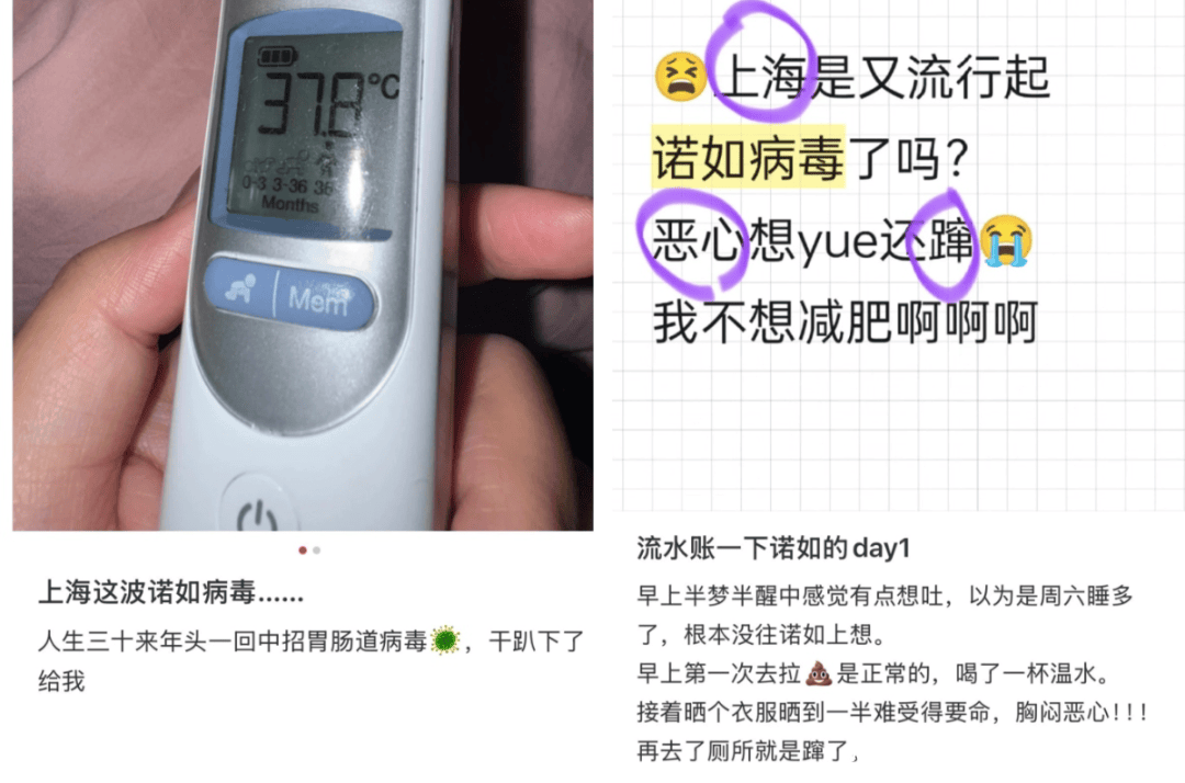 草莓大量上市，“草莓瘟”谣言需澄清 年后草莓便宜，“草莓瘟”说法是真是假？