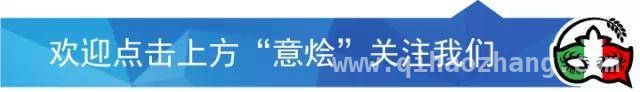 华人“黑车”在意大利非法运营，影视团队出行计划全打乱！ 意大利节目曝光华人“黑车”运营乱象，乘客遭遇大麻烦！