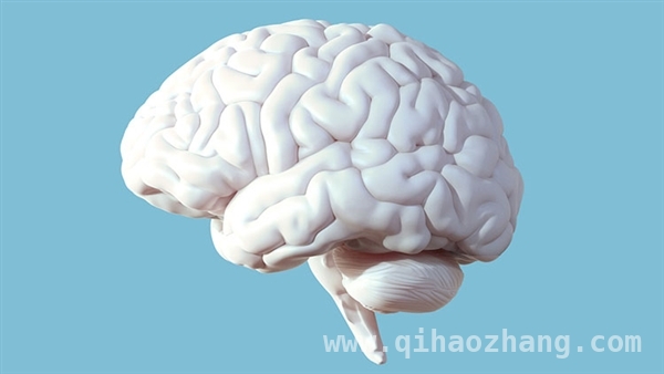 视觉媒体冲击下，人类智力水平悄然下滑？，人类智力滑坡，视觉媒体与AI谁是主因？