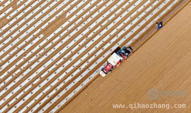 春日山东：从农田春管到消费维权，各领域活动亮点频现，聚焦2025年3月山东，农业生产与社会活动共绘美好篇章