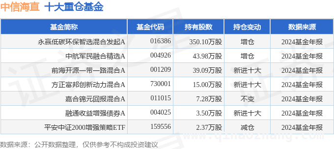 解读中信海直2024年年报：财务数据背后的秘密