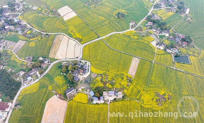 3. 蛇年春天，用镜头赴一场“春色”之约，4. “春色”摄影展开启，一起探寻垫江乡村的美丽画卷