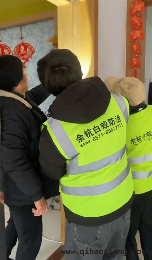 余杭白蚁防治：专业出击守护美好家园