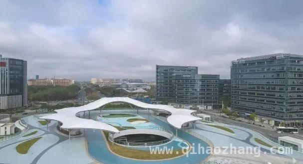 毛宁海外推“中国最美地铁站”，上海滴水湖站成亮点