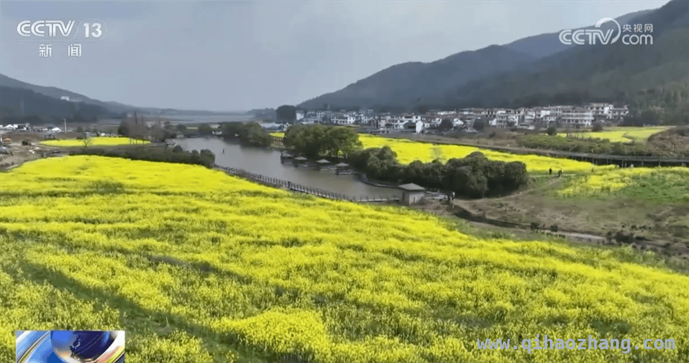 赏花之旅开启，各地借繁花带动乡村经济腾飞，桃花油菜荔枝争艳，各地“花经济”奏响春日乐章