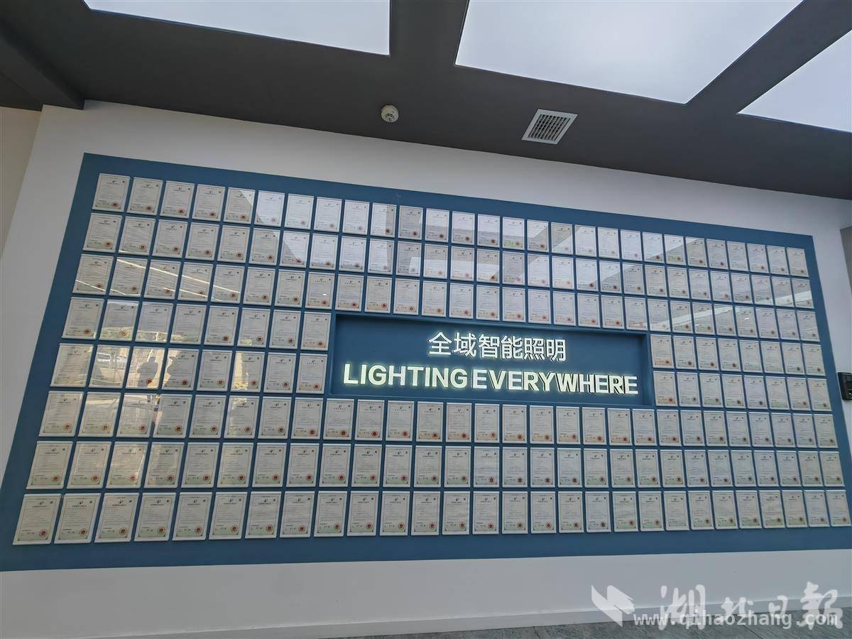 探秘法雷奥湖北工厂：智能制造与创新之光