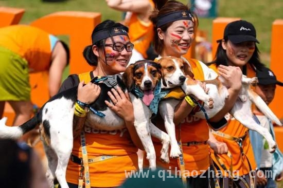 萌娃与爱犬齐上阵，深圳户外运动赛事超燃来袭，3月深圳：斯巴达与狗巴迪赛事共绘运动盛景