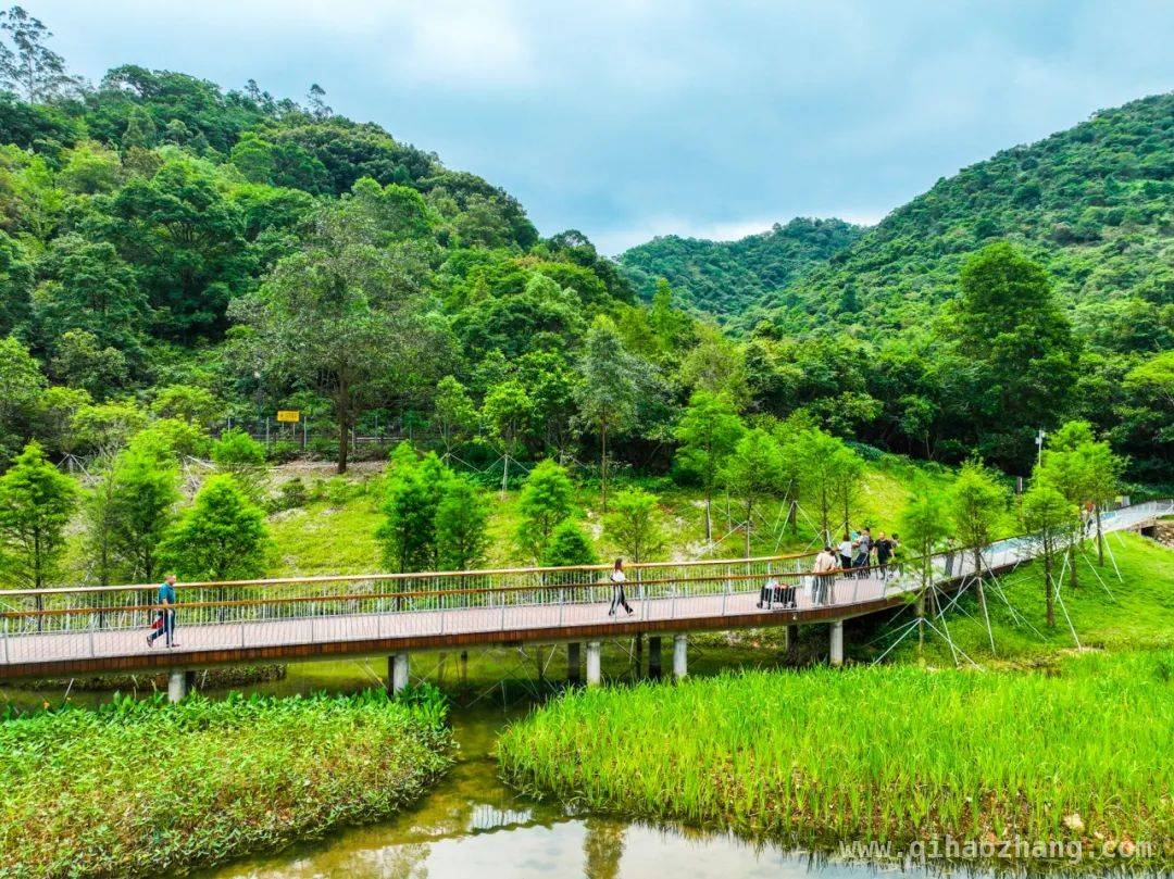春日踏青好去处，深圳坪山这三处景点别错过！