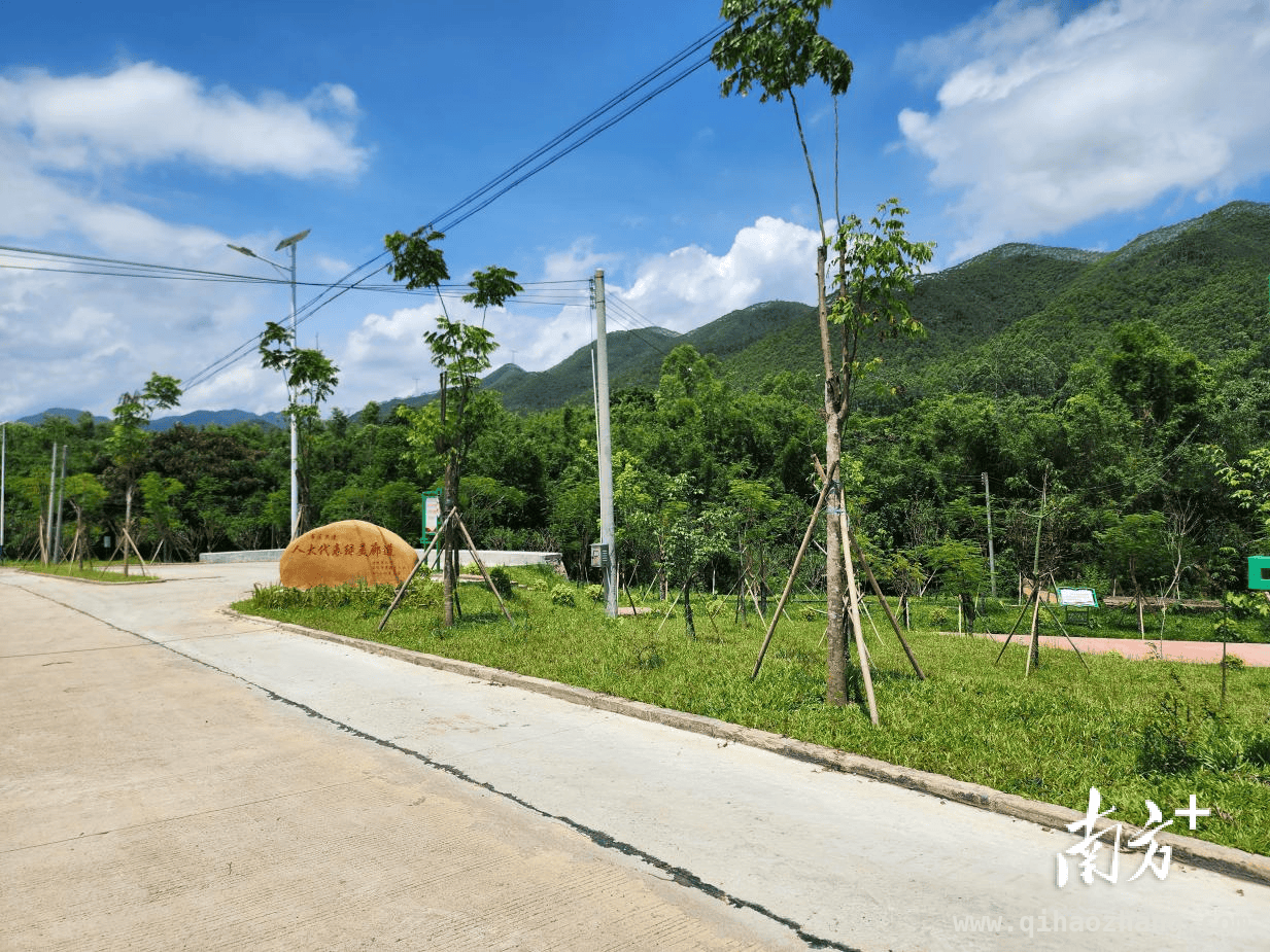 清新区三坑镇：党建引领绘就乡村绿化新画卷