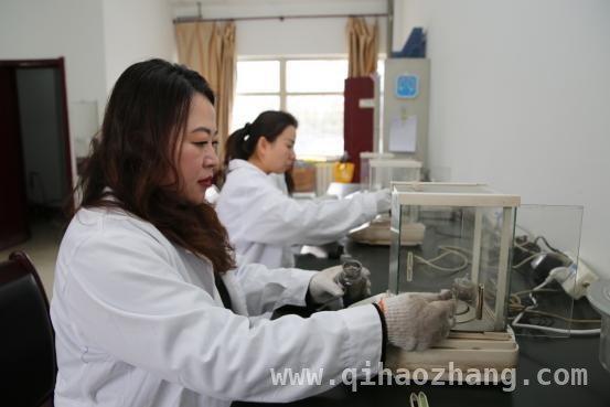 煤质化验室的“密码破译者”李建芳