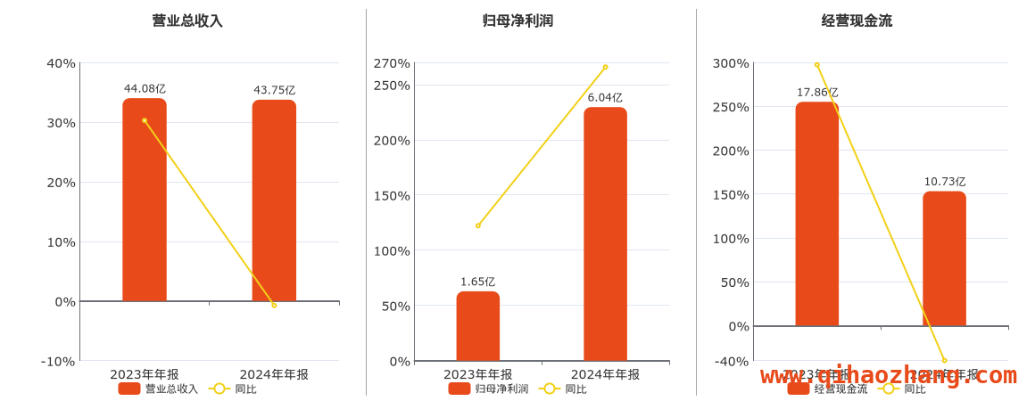 从汇顶科技2024年年报看公司发展现状，汇顶科技2024年年报数据呈现，经营态势受关注