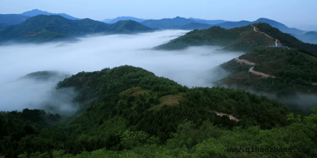 平谷坚持生态立区，绿色发展久久为功，平谷：植绿绘就生态新篇，共赴绿色发展之约