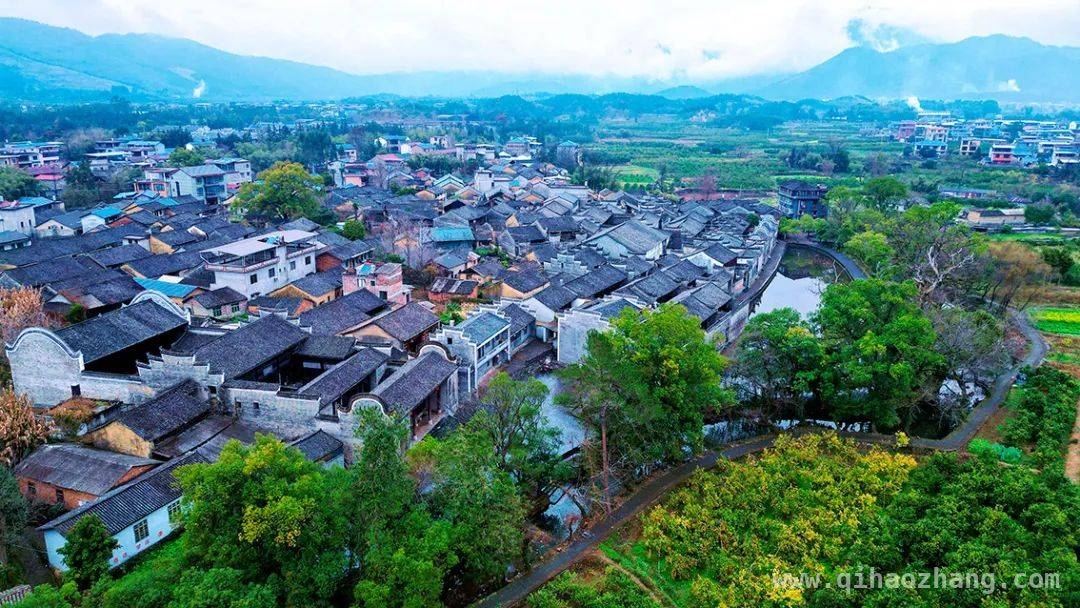 古韵江头村：爱莲文化滋养清廉家风传承 探秘广西江头村：爱莲文化绘就清廉家风画卷