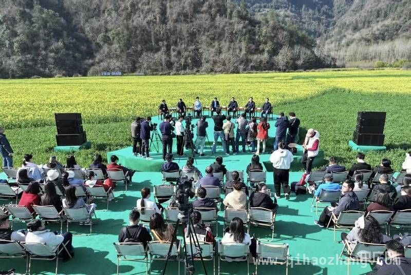 青山绿水间的黄山发布会，旅游优惠惊喜不断！