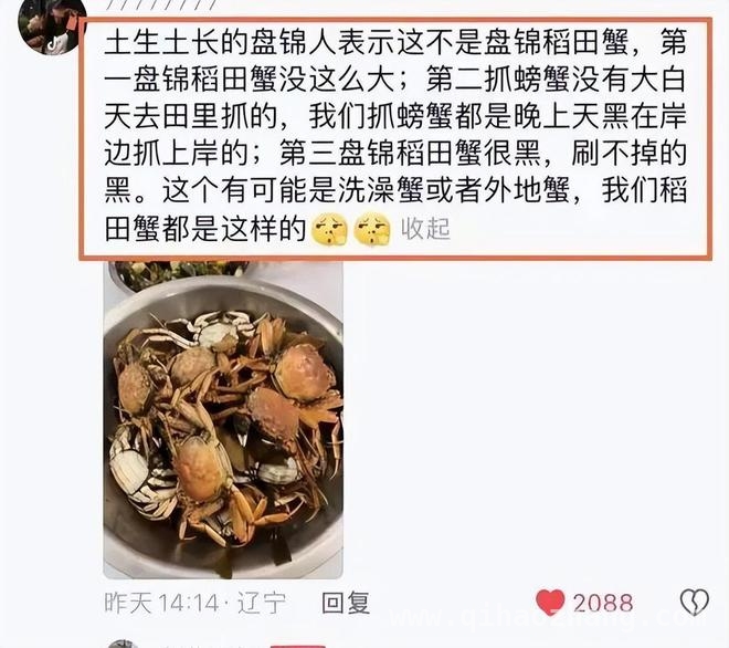 东北雨姐带货翻车，是咎由自取还是另有隐情？ 东北雨姐屡次翻车，这次真的玩完了？