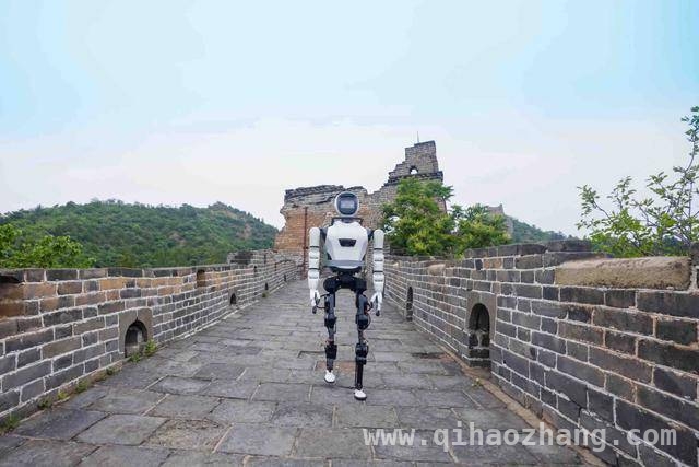 成都世运会：一场机器人与赛事的梦幻联动