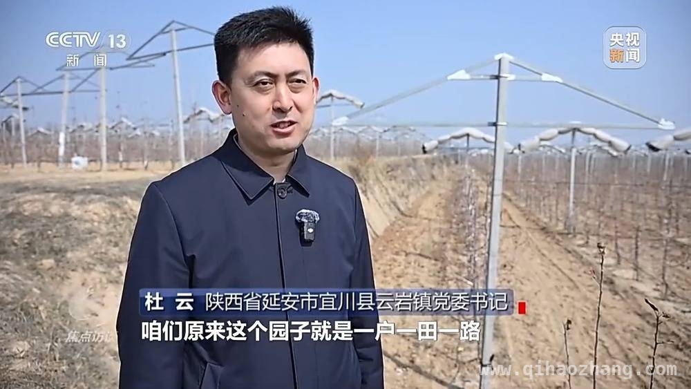 五年蜕变，延安苹果产业书写乡村振兴新篇章