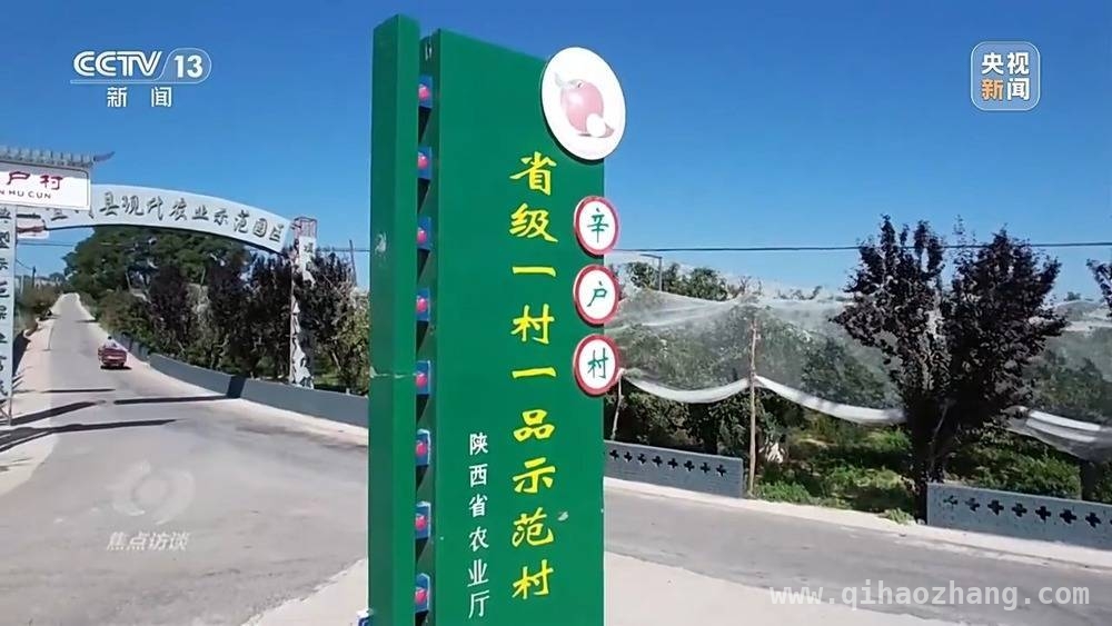 五年蜕变，延安苹果产业书写乡村振兴新篇章