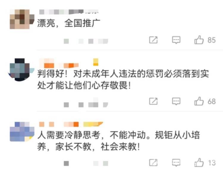 校园网络霸凌判决获赞，构建全链条防欺凌机制