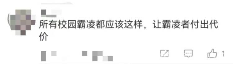 校园网络霸凌判决获赞，构建全链条防欺凌机制