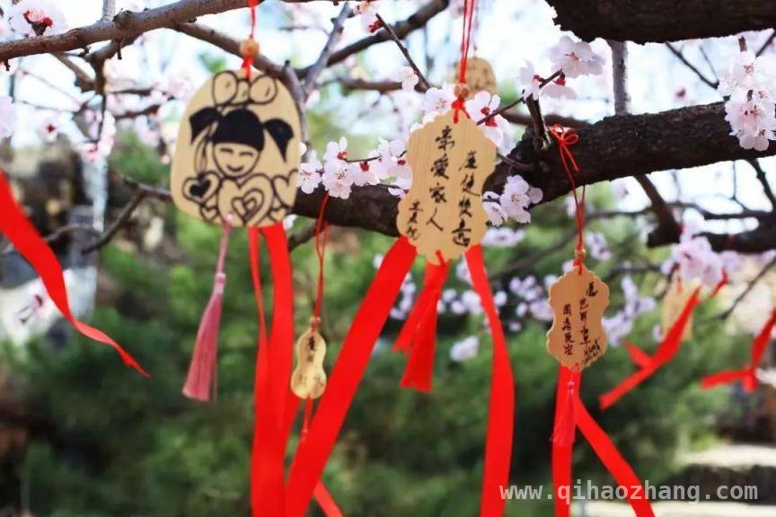 天毓山庄：杏花间的宁静春日之约