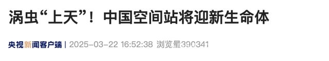 涡虫“进军”中国空间站，再生奥秘待揭晓 中国空间站将迎涡虫“访客”，再生研究开启新篇
