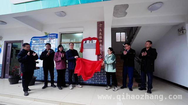 科技赋能，人才汇聚：东川乌龙镇种业发展步入新阶段 东川乌龙镇种业盛会：多方聚力，共绘农业发展新蓝图