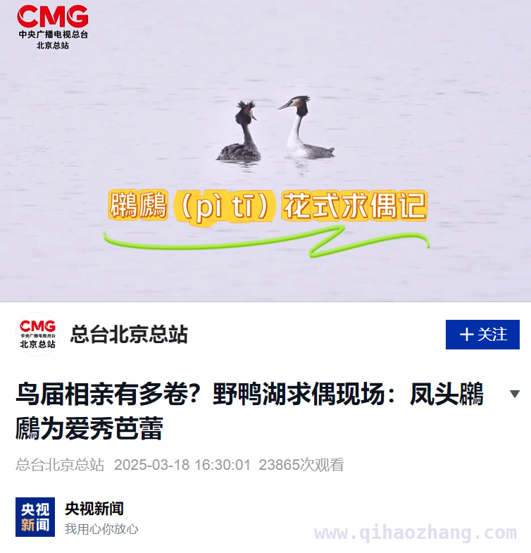 2025延庆：体育赛事、红色记忆与物流运输的精彩交织 延庆发展进行时：越野赛、家书、快递专线勾勒美好蓝图
