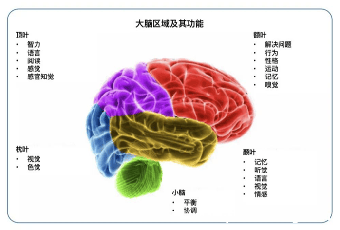 从国家一级运动员到抗癌斗士，吴忠华复查病情牵动人心