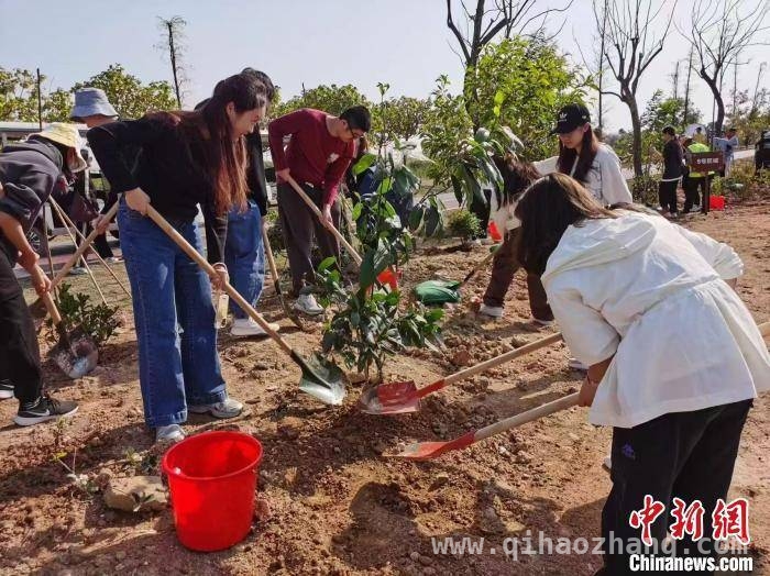 “绿美广东青年先行”：粤港澳青年横琴种下青春之林，百余名粤港澳青年齐聚横琴，种下“青年林”传递友谊与希望