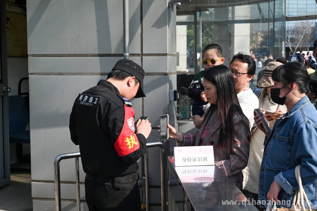 同济樱花季来袭，感受春日限定浪漫，同济樱花将盛放，校园美景等你邂逅