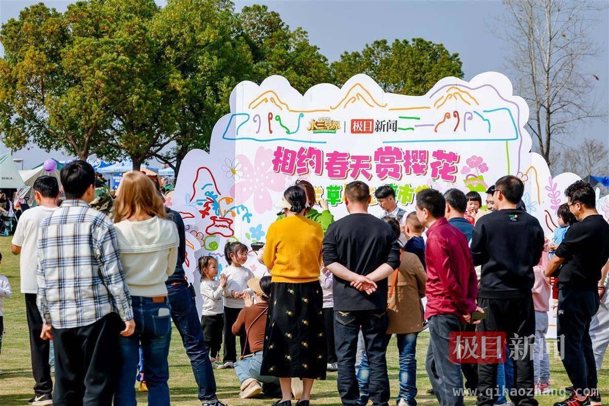 相约木兰草原，共赴一场樱花春日盛宴，木兰草原花嗨市集：湖北文旅春日新名片