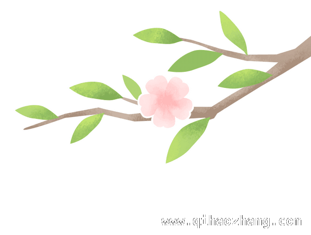 2025虹口都市樱花节浪漫启幕，邂逅春日繁花盛宴，跟着赏樱地图，打卡2025虹口都市樱花节