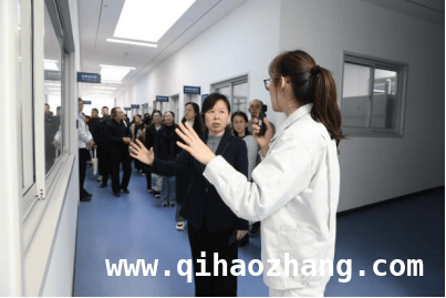 保定知识产权大会：创新实干，开启强市建设新篇章，保定知识产权工作会议：锚定目标，迈向强市新征程