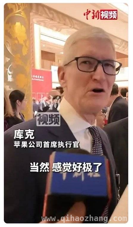 苹果CEO力挺，中国AI新星DeepSeek闪耀国际舞台，从争议到接纳，DeepSeek在全球科技浪潮中崛起