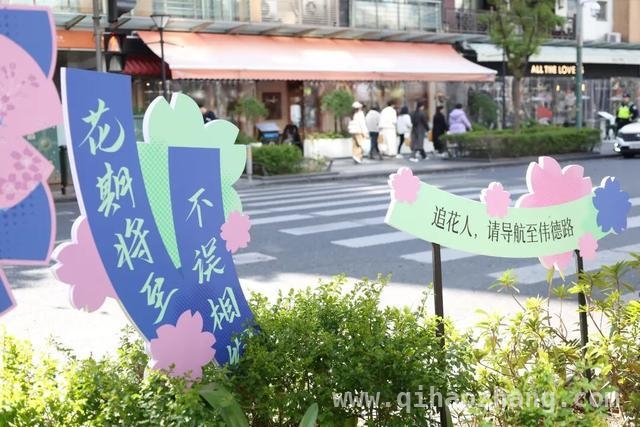 春日漫游：伟德路和大学路的诗意与活力之旅，伟德路与大学路：一动一静，解锁沪上文化新密码