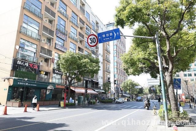 春日漫游：伟德路和大学路的诗意与活力之旅，伟德路与大学路：一动一静，解锁沪上文化新密码