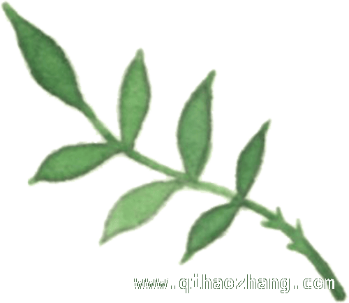 春耕时节，巴彦警方多措并举筑牢乡村安全防线，巴彦公安春耕发力：强化防控与科技赋能并行