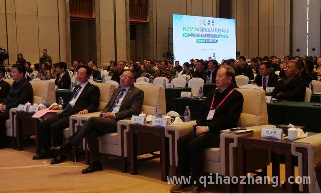 国际消化病学术交流，共探创新与实践之路