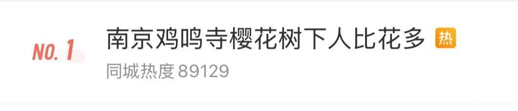 周末南京气温飙升，赏花出行攻略请查收！，周末南京：高温邂逅繁花，出行赏花两不误