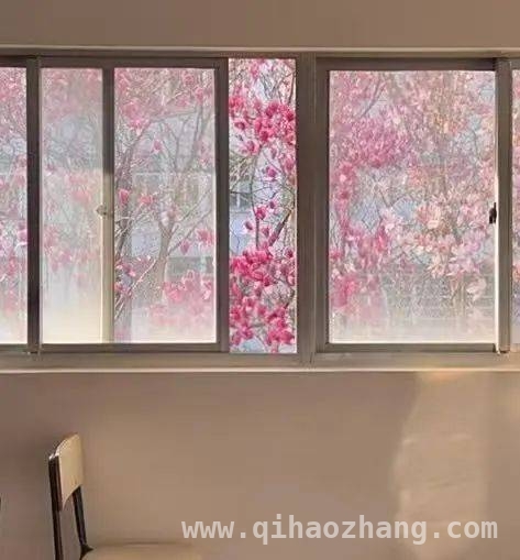 周末南京气温飙升，赏花出行攻略请查收！，周末南京：高温邂逅繁花，出行赏花两不误