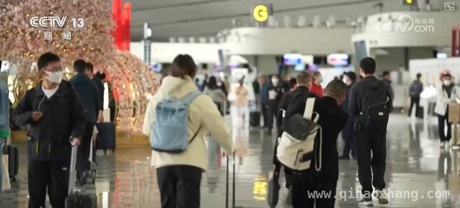 2025清明假期：短途踏青赏花游火热来袭，清明出行新热点：踏青赏花游热度飙升
