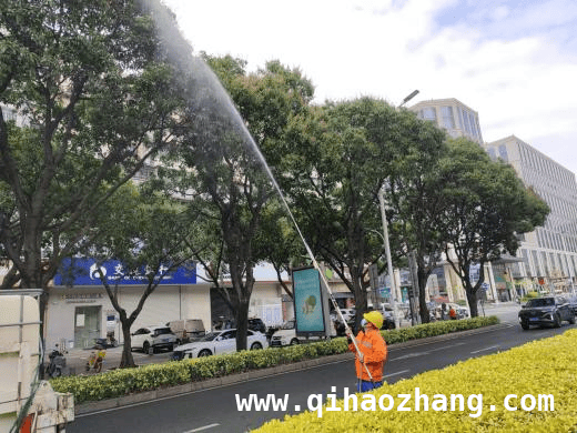 探秘厦门芒果树春季养护，控花控果背后的故事