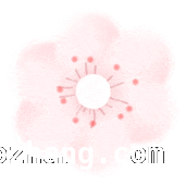 “春日雅集·共赴芳华”：厦门青年教师联谊活动浪漫开启！，浪漫春日，厦门青年教师联谊活动绽放芳华