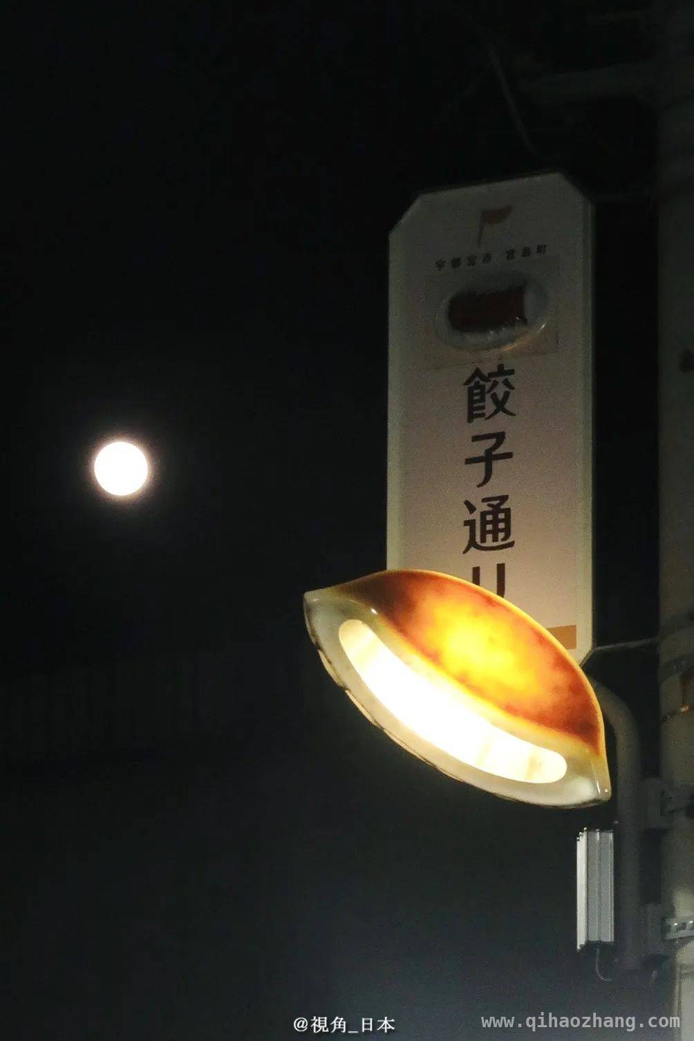 探秘奇趣世界：从绿荆女神到王企鹅换毛