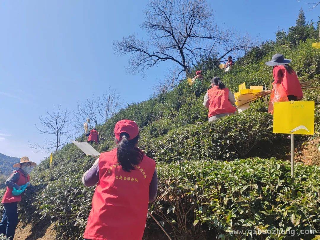 2025 年 3 月多地共青团工作亮点展示